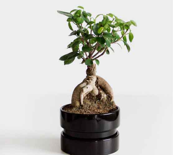 ddos攻击防御手段